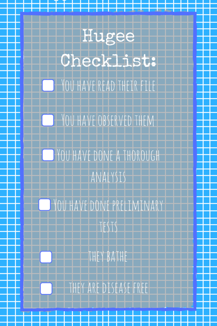 Hugee Checklist-